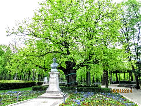 Adevărul e stăpânul nostru, nu noi stăpânim adevărul. 10 citate celebre de la marele poet Mihai Eminescu pentru ...