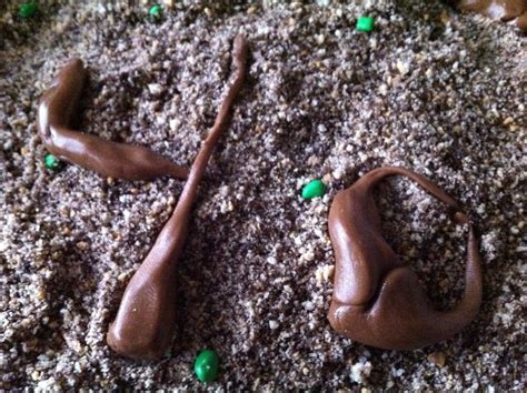 So long as the litter box is kept clean, this behavior isn't unhealthy. Mo Momma: April Fools Dessert: Kitty Litter Cake