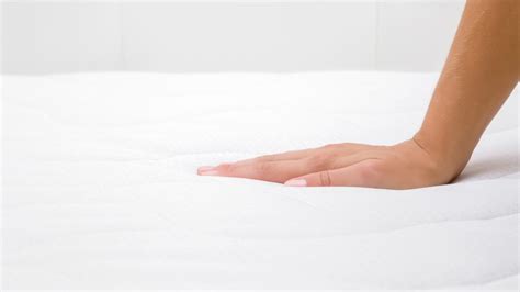 This guide will help you choose among innerspring, memory foam, hybrid and even. Best Bed Bug Mattress Encasements in 2020: Reviews & Tips ...
