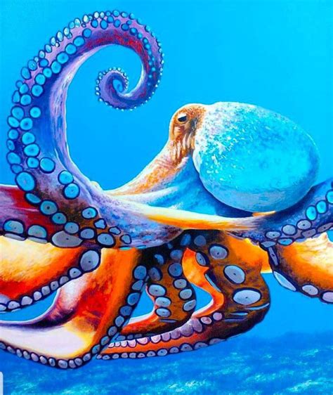Acrylic Octopus Painting Top Painting Ideas