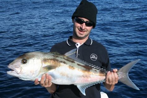 My First Tagged Samsonfish Fishing Fishing Wa