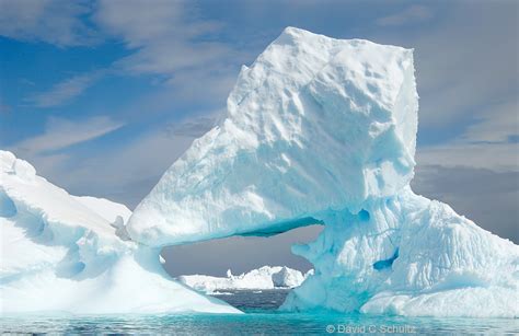 Antarctica Photo Gallery