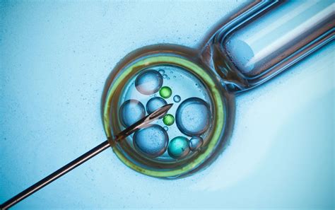3 técnicas de reproducción asistida advanced fertility center