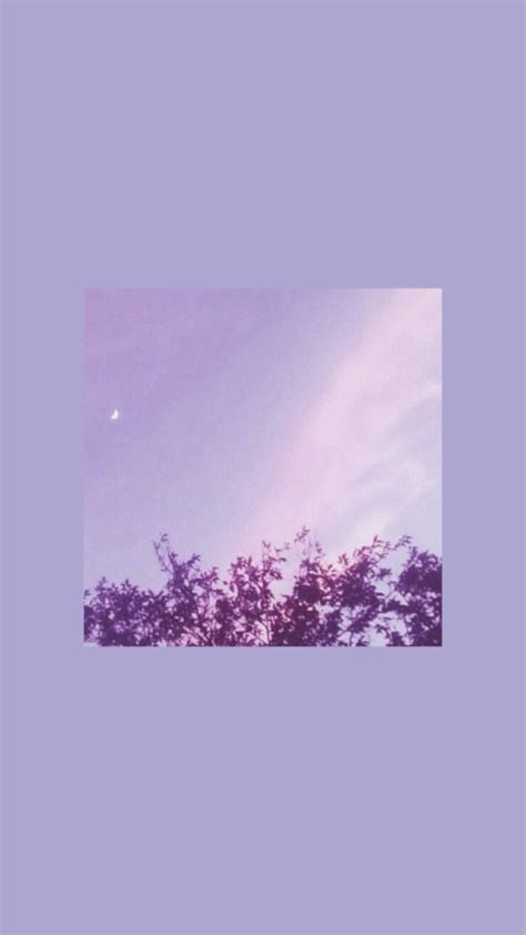 We did not find results for: Aesthetic Pastel Purple Wallpaper Iphone - cuteanimals in ...