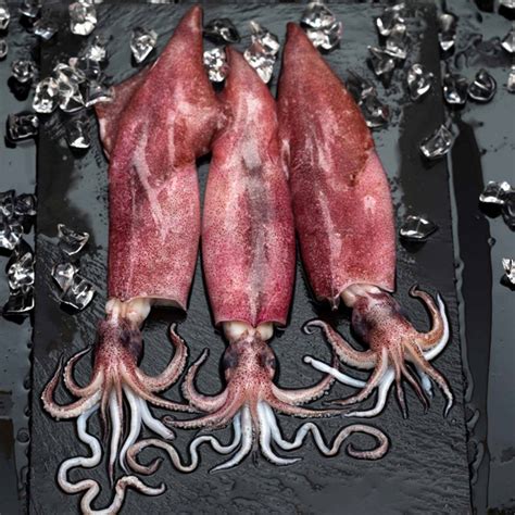 Buy Red Squid Small Per Kg Online Shop Fresh Food On Carrefour