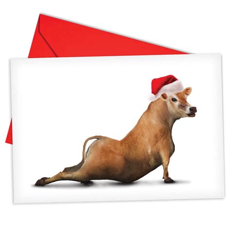 Bovine Nirvana 12 Boxed Farm Animal Christmas Cards With Envelope