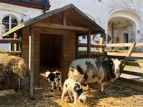 Haus bockdorf (3,949.41 mi) kempen, germany, 47906. Gut Heimendahl - Haus Bockdorf, Kempen