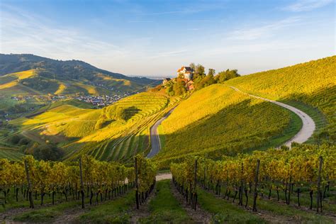 The celts are believed to have been the first inhabitants of germany. Wine Travel in Germany's Mosel Valley