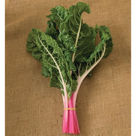 Peppermint Swiss Chard Seed Johnnys Selected Seeds
