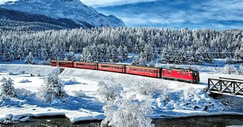 Bernina Train And Swiss Alps Guided Tour In Italian From Milan 클룩