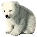 You will receive the following files: Baby Polar Bear icon PNG, ICO or ICNS | Free vector icons
