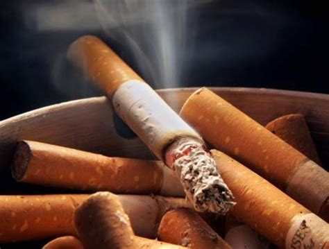 How do i minimize the smell of weed? How to Get Smoke Smell out of House or Car Instantly Using ...