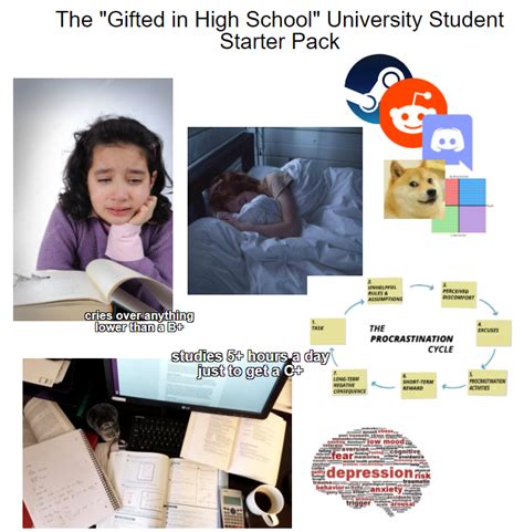 The Ted In High School University Student Starter Pack R