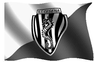 Please note that you can change the channels yourself. Animated Flags - Bandiere animate - Squadre di Calcio C