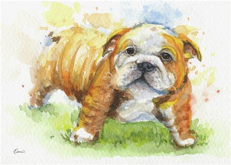 Bulldog Painting By Kathleen Wong Pixels