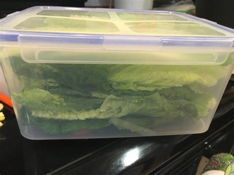 Cleaning And Storing Romaine Hearts Thriftyfun