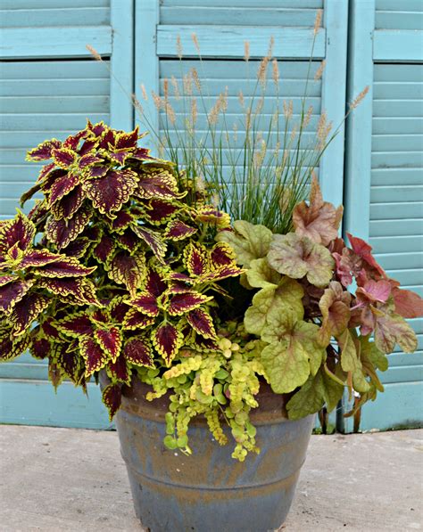 I picked the area of my property that had the best sun, spring and summer. 4 Container Garden Ideas | Fairview Garden Center
