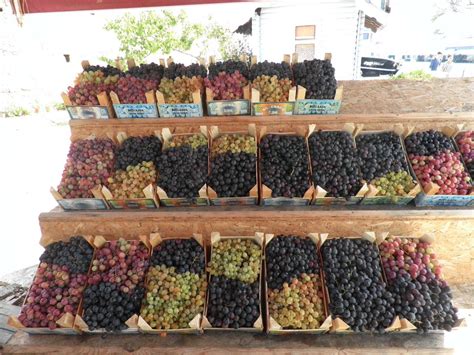 Meşhur Bozcaada Üzümleri Grapes Fruit Food