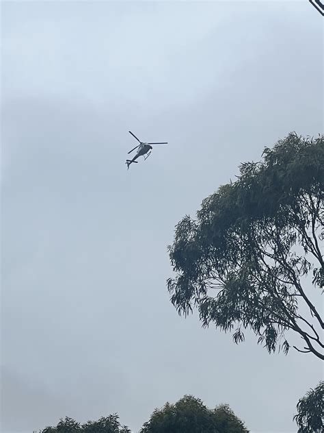 Why are there all these helicopters? : r/sydney