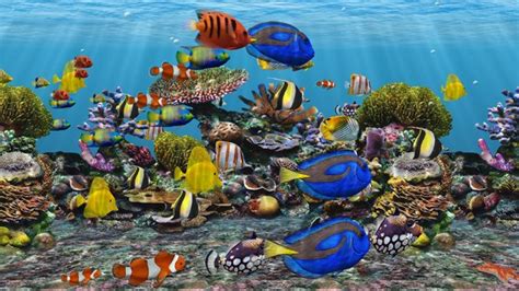 Our site is dedicated for selected top quality 3d screensavers. Aquarium Wallpapers and Screensavers - WallpaperSafari
