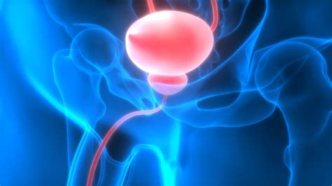 The Signs And Symptoms Of Bladder Cancer Keep Asking