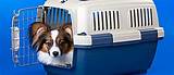 Images of Airline Approved In Cabin Pet Carrier