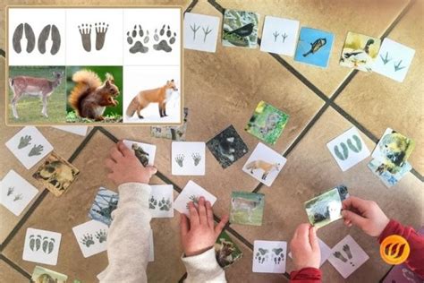 2 die hosengrößen für kinder. Pin auf Waldkindi Ideen Katalog