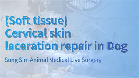 Warning Soft Tissue Cervical Skin Laceration Repair In Dog Sung Sim