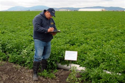 Has Our Food Become Safer in the Last 10 Years? | Civil Eats