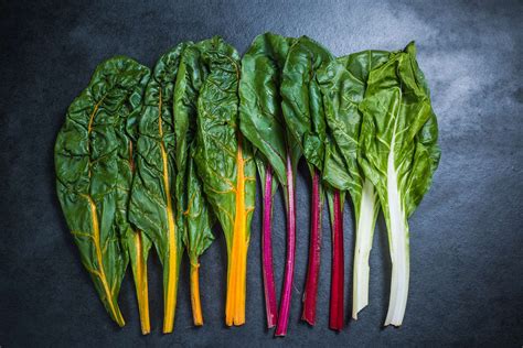 Leckere Rezepte für die Mangold -Saison