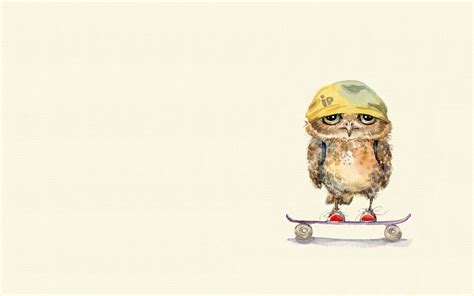 Owl On Skateboard Hd Funny 4k Wallpapers Images