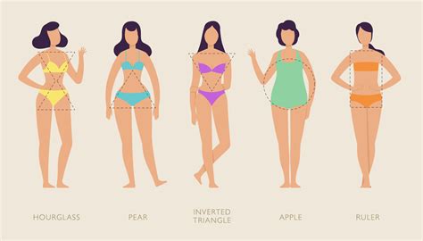 Realistic Female Body Types Chart Lupon Gov Ph