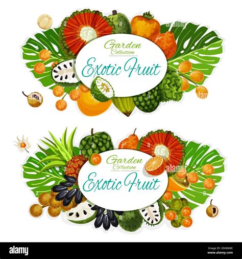 Exotic Fruits And Berries With Tropical Palm Leaves Vector Posters