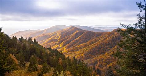 Top 5 Reasons To Visit Pigeon Forge And The Smoky Mountains Syta