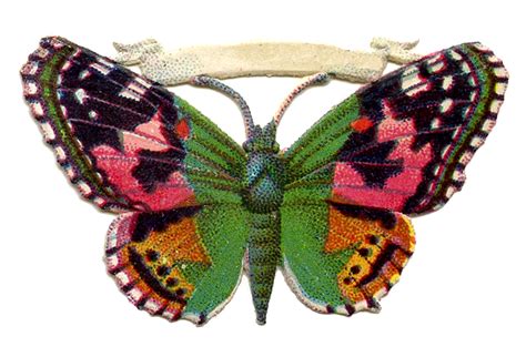 Uploaded at may 10, 2020. Free Vintage Butterfly Image - Pink and Green - Scrap ...