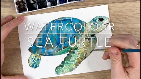 Watercolour Sea Turtle By Emma Lefebvre Video Min Watercolor Sea