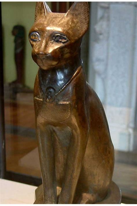 The History And Significance Of Cats In Ancient Egypt Vrogue Co