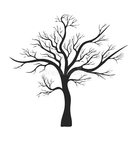 Bare Tree Silhouette Stock Illustrations 6695 Bare Tree Silhouette