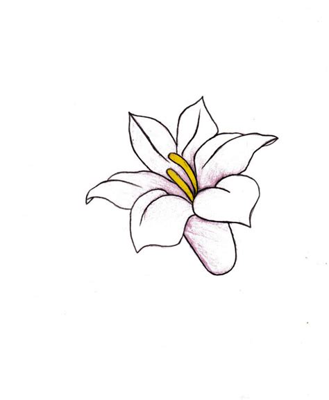 Flower motifs have been popular in artwork from time immemorial. Gladiolus Flower Drawing at PaintingValley.com | Explore ...