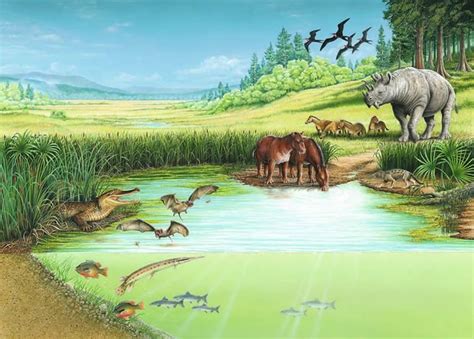 The Eocene Epoch 56 34 Million Years Ago Paleontology World
