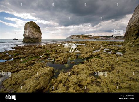 Wave Cut Platform Fossil Paleontology Freshwater Bay Isle Of Wight