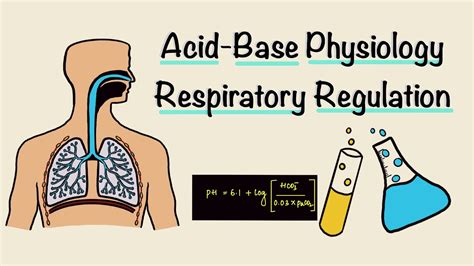 Acid Base Physiology Part Two Respiratory Regulation Respiratory
