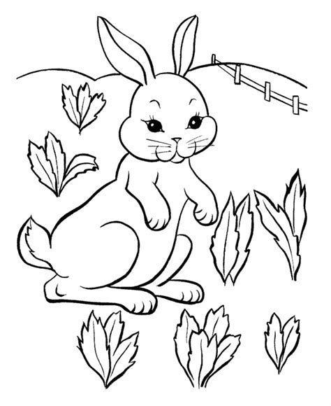 There are 15 free, printable easter bunny coloring pages from mom junction that include easter bunnies painting eggs, hopping around town, and more. Free Printable Rabbit Coloring Pages For Kids