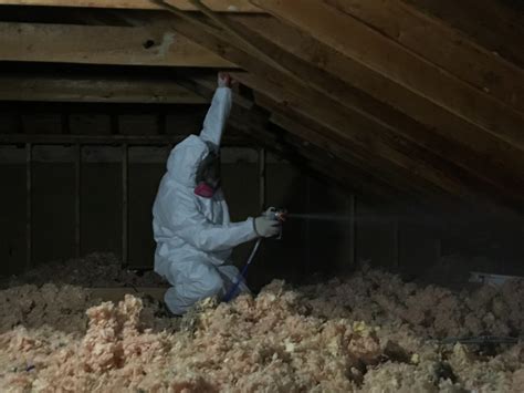 Attic Mold Removal Contractor Green Insulation Experts