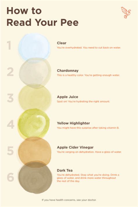 Hydration Chart Learn To Read The Shades Of Your Pee What The Urine