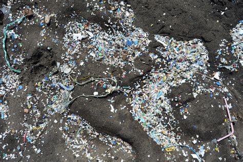 Becks Auswertbar Vorausgehen Western Pacific Garbage Patch Vorderseite