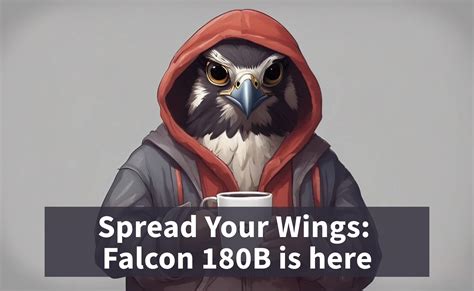 Spread Your Wings Falcon B Is Here