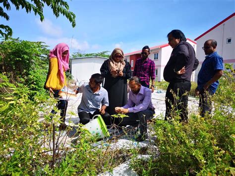Vector and Vector-borne Disease Surveillance, Prevention and Control