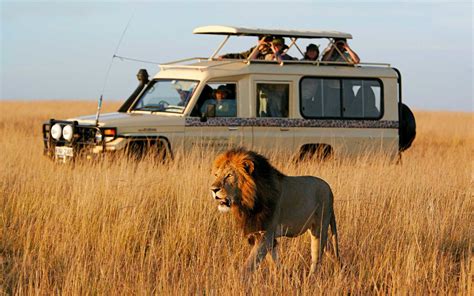 Safari Planning 6 Essential Things You Cant Ignore Safari Guide