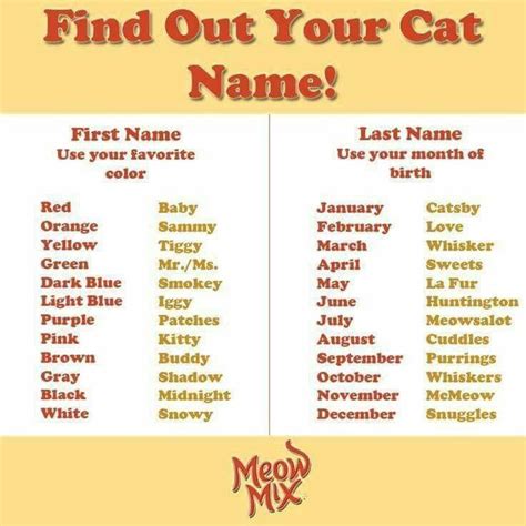 Find Your Cat Name Funny Names Names Funny Name Generator